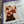 Only in Canada Dark Chocolate Bar